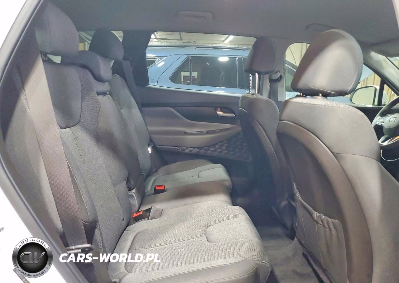 2020 Hyundai Santa Fe Se VIN:5NMS2CAD8LH191631 - 11