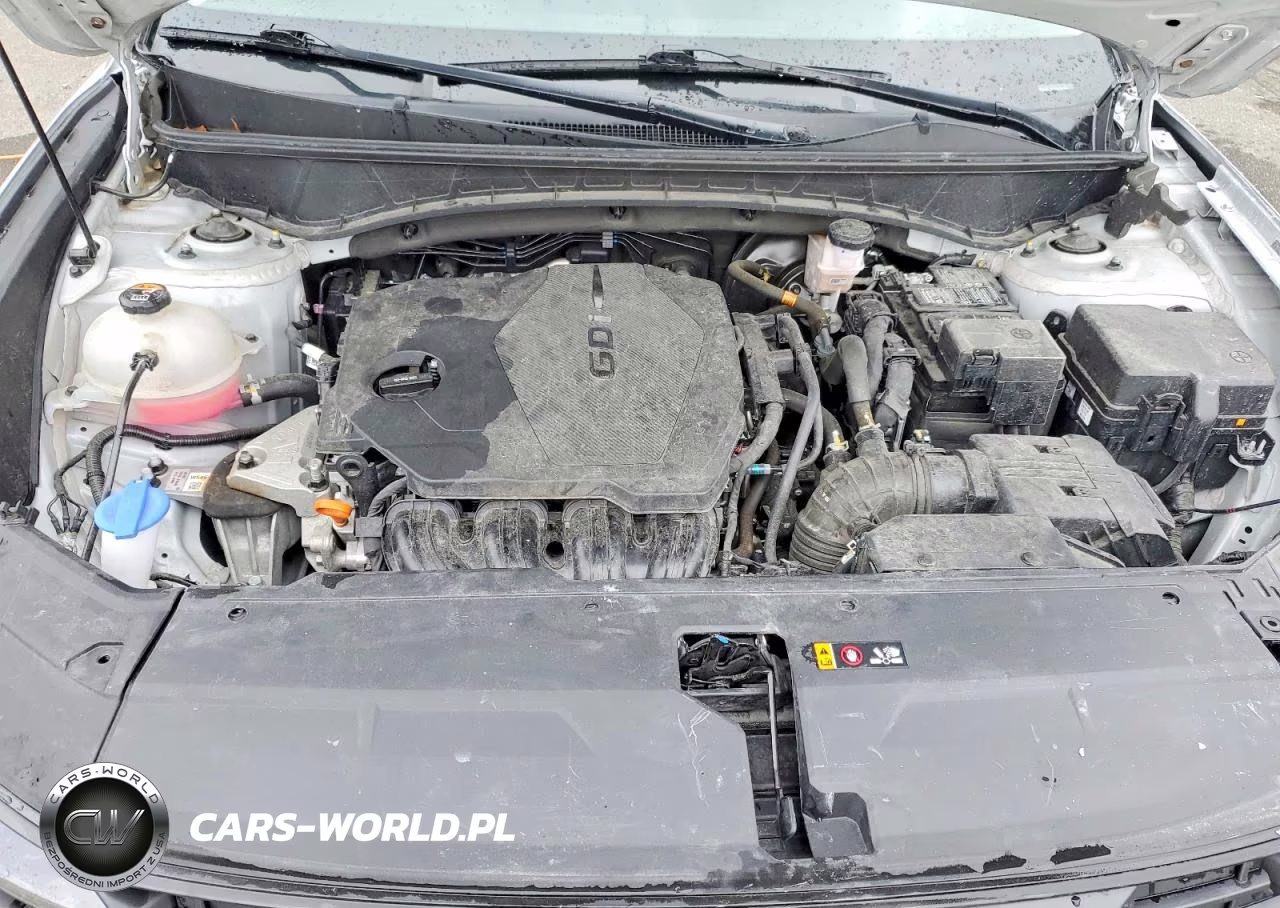 2025 Hyundai Tucson Sel VIN:5NMJB3DE5SH491688 - 12