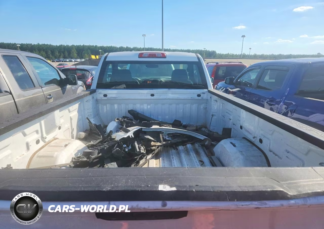2020 Chevrolet Silverado C1500 VIN:3GCNWAEF8LG277647 - 10