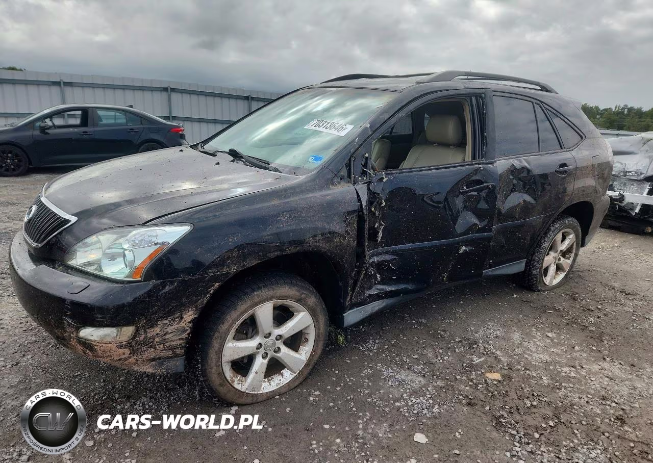 2004 Lexus Rx 330 VIN:2T2HA31U84C025027 - 1