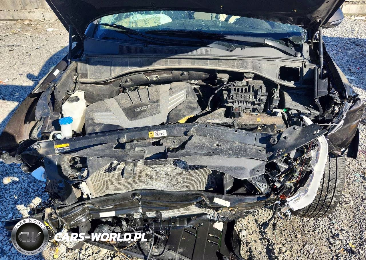 2017 Hyundai Santa Fe Se Ultimate VIN:KM8SRDHF4HU238271 - 12