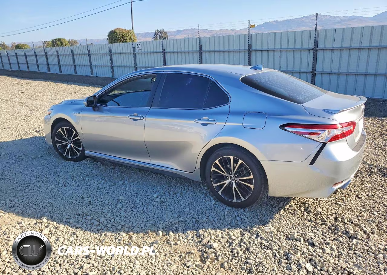 2020 Toyota Camry Se VIN:4T1G31AKXLU011981 - 2