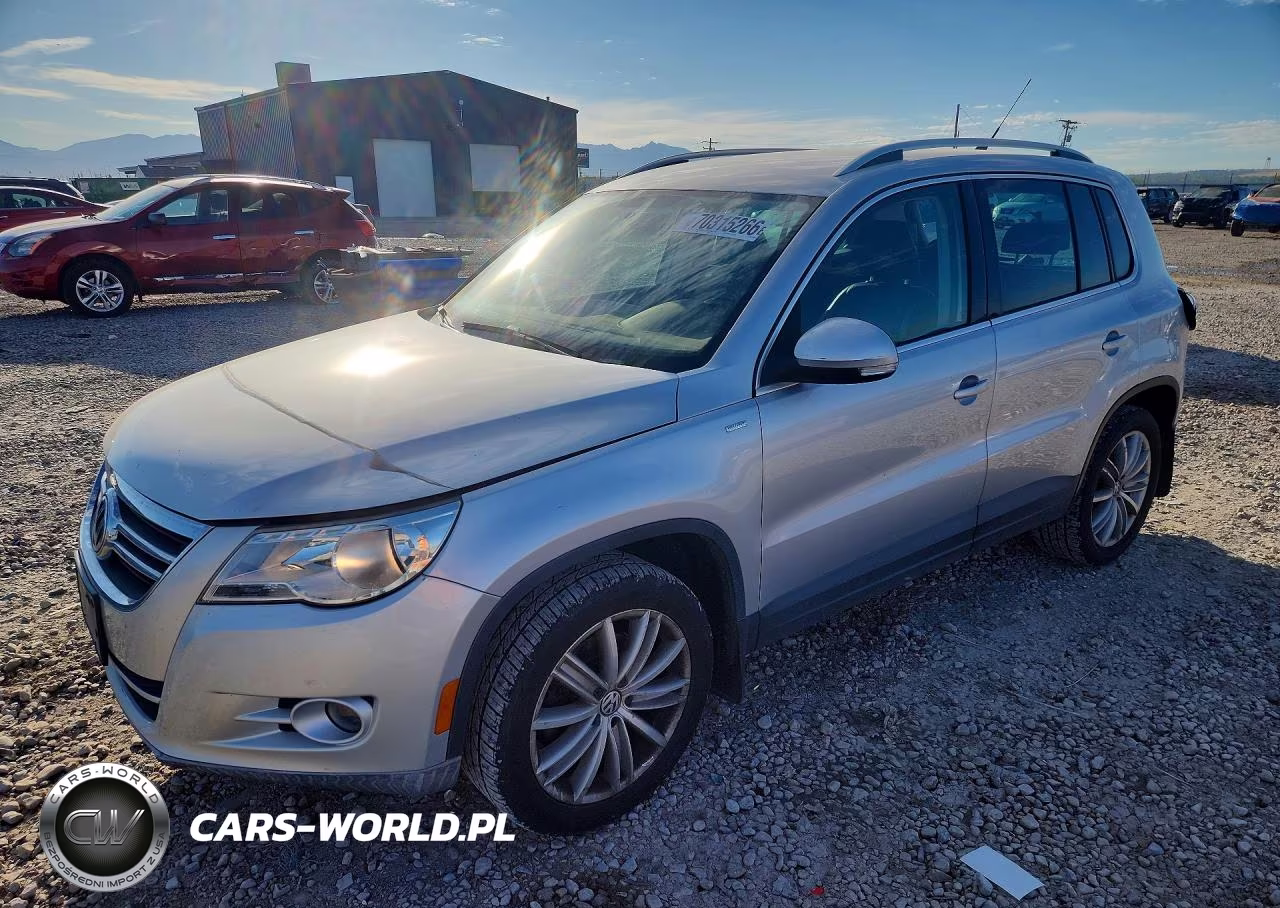 2010 Volkswagen Tiguan Se