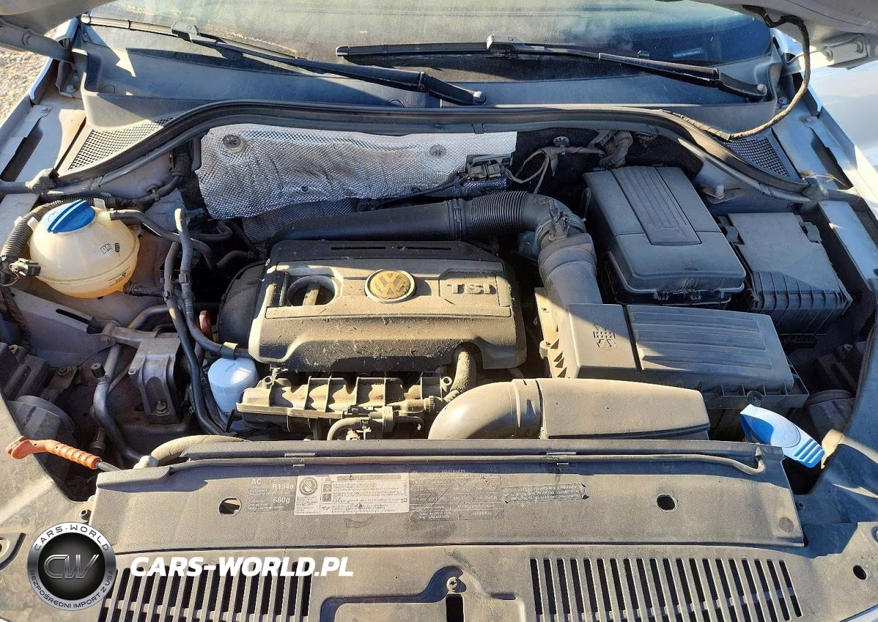 2010 Volkswagen Tiguan Se VIN:WVGBV7AX1AW516053 - 11