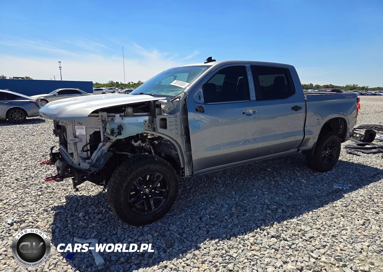 2025 Chevrolet Silverado K1500 Trail Boss Custom VIN:3GCUKCED7SG279227 - 1
