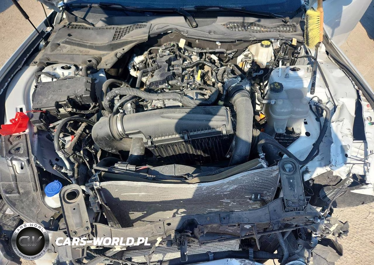 2024 Ford Mustang VIN:1FA6P8TH7R5111852 - 11