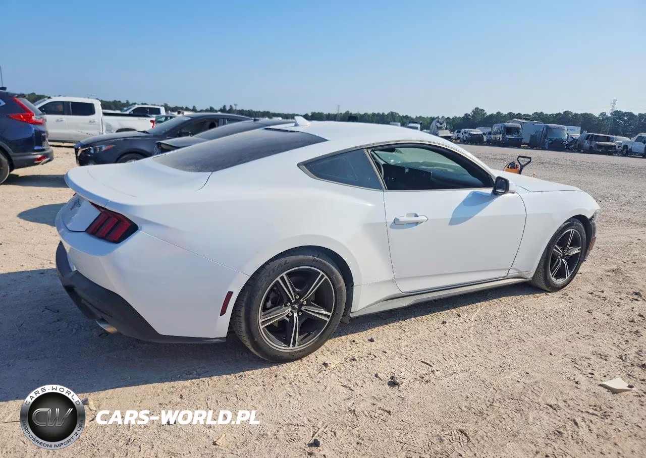 2024 Ford Mustang VIN:1FA6P8TH7R5111852 - 3