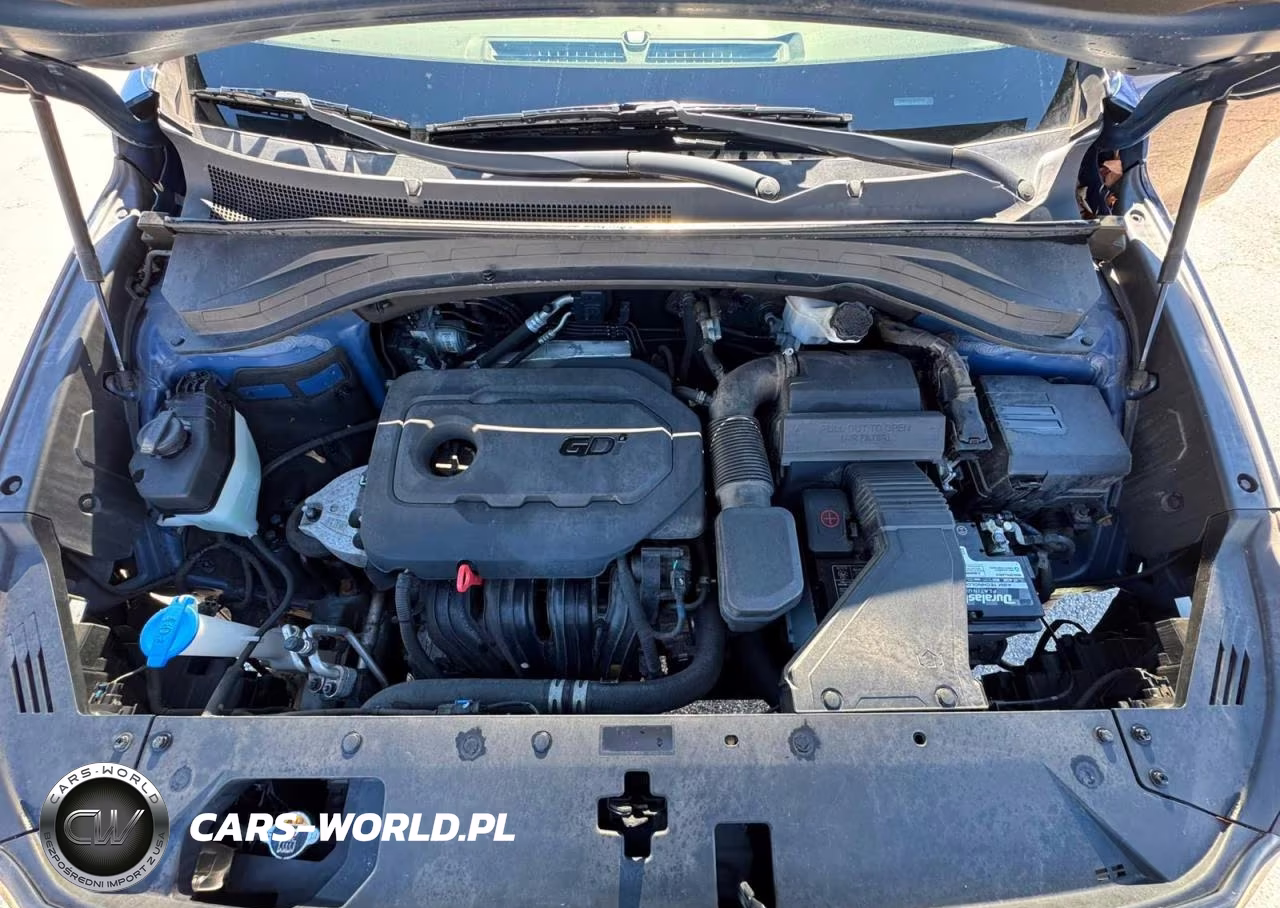 2019 Hyundai Santa Fe Sel 2.4L VIN:5NMS3CAD6KH057177 - 7