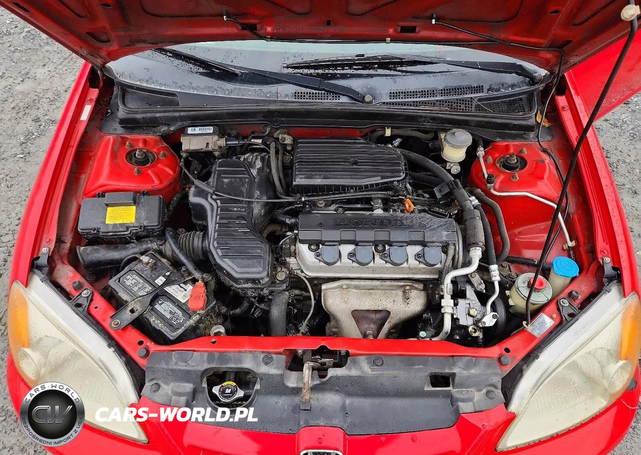 2003 Honda Civic Lx VIN:1HGEM22553L039024 - 11