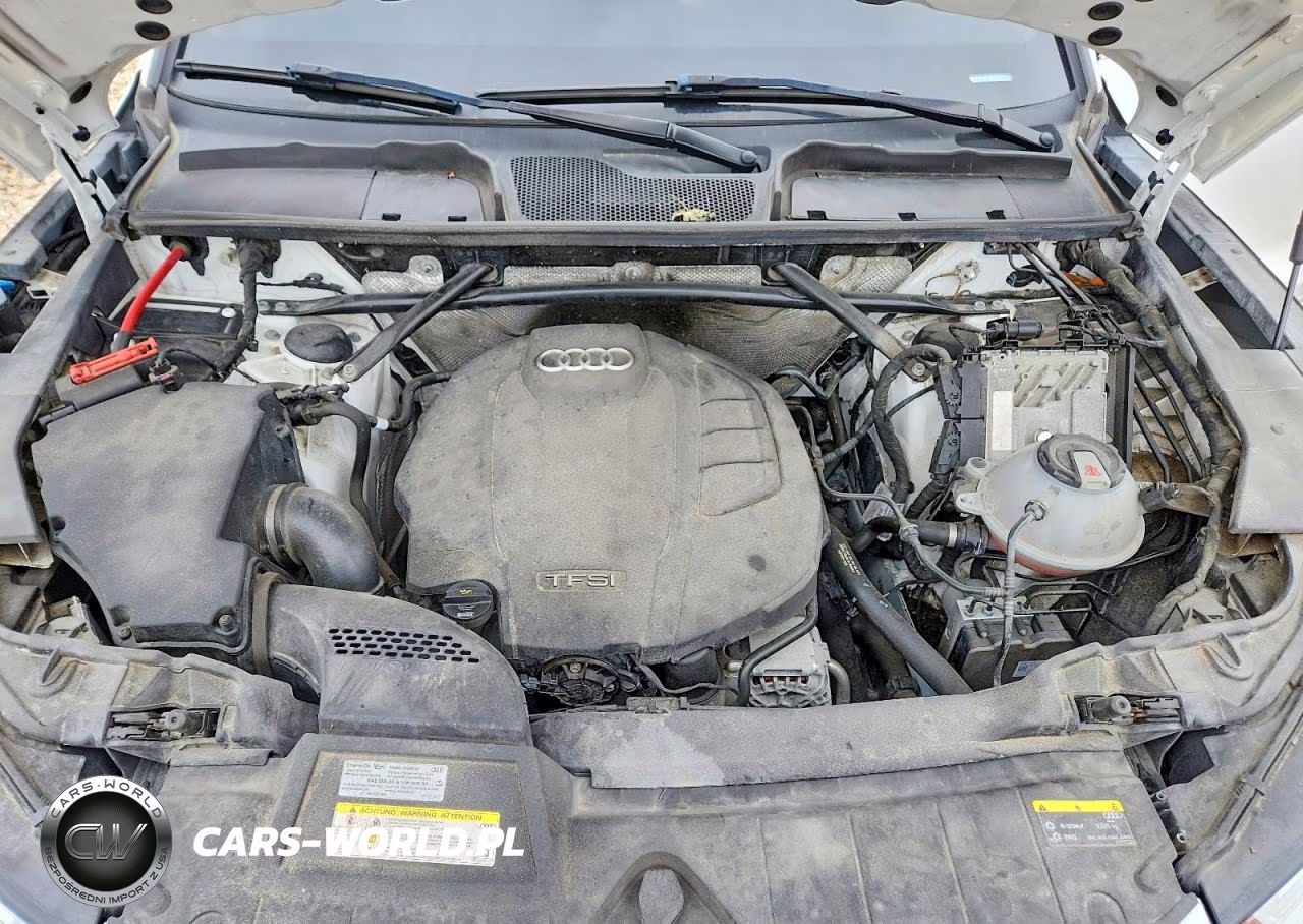 2019 Audi Q5 Premium Plus VIN:WA1BNAFY4K2081681 - 12