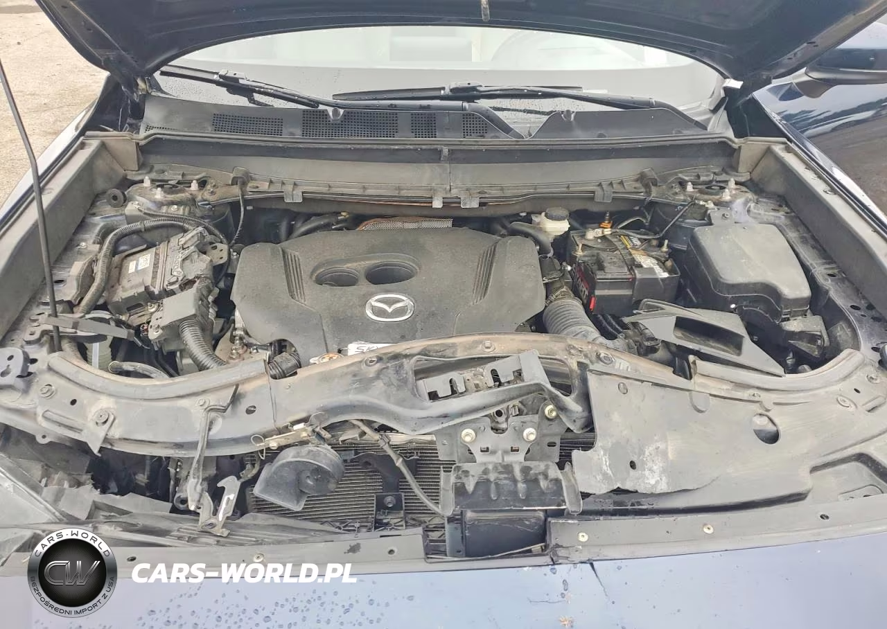 2019 Mazda Cx-9 Grand Touring VIN:JM3TCBDY6K0316433 - 11