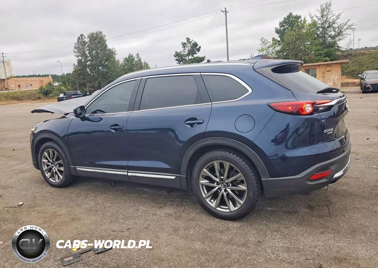 2019 Mazda Cx-9 Grand Touring VIN:JM3TCBDY6K0316433 - 2