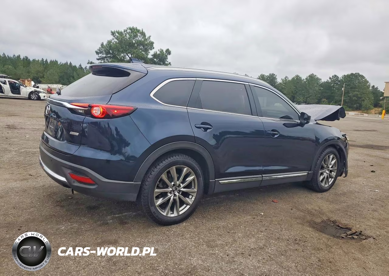 2019 Mazda Cx-9 Grand Touring VIN:JM3TCBDY6K0316433 - 3