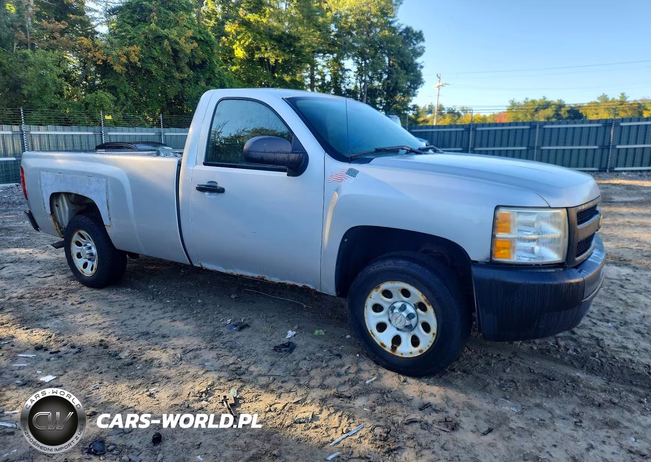 2010 Chevrolet Silverado C1500 VIN:1GCPCPEX5AZ274487 - 4
