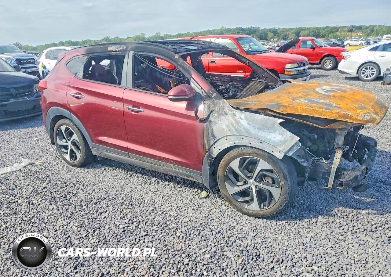 2016 Hyundai Tucson Limited VIN:KM8J33A25GU059556 - 4