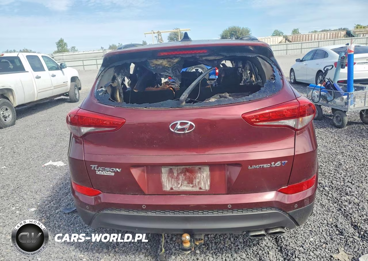 2016 Hyundai Tucson Limited VIN:KM8J33A25GU059556 - 6