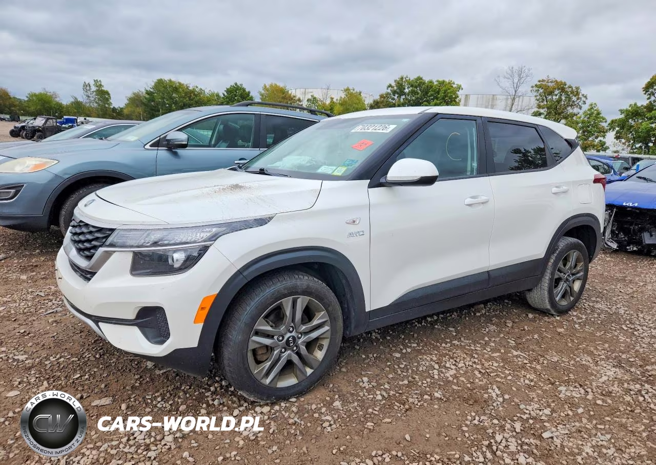 2021 Kia Seltos Lx VIN:KNDEPCAA2M7124374 - 1