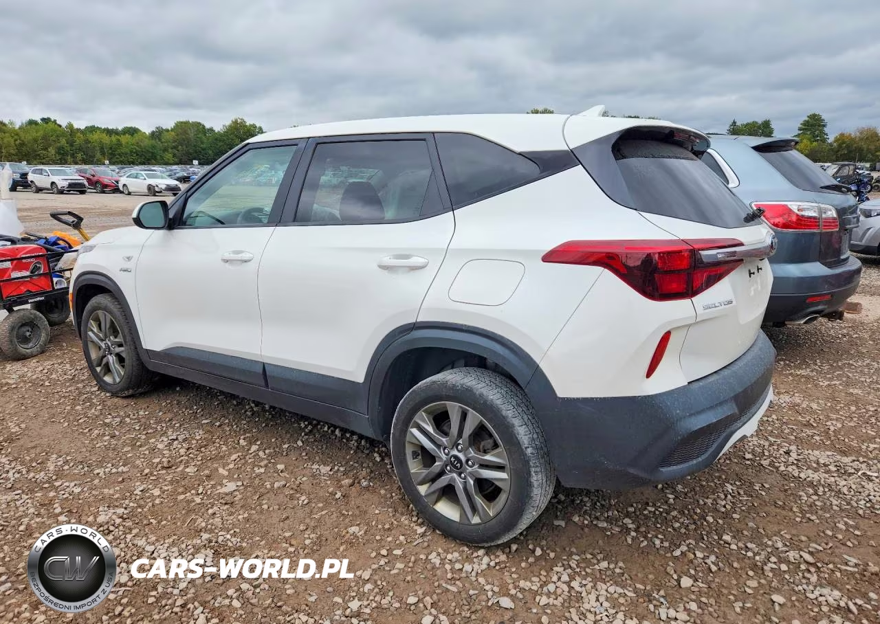 2021 Kia Seltos Lx VIN:KNDEPCAA2M7124374 - 2