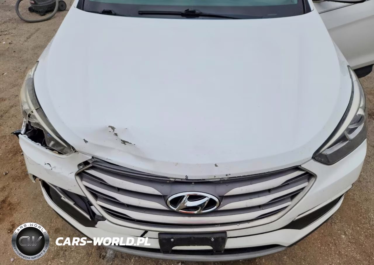 2018 Hyundai Santa Fe Sport 2.4L VIN:5XYZTDLB1JG539452 - 12