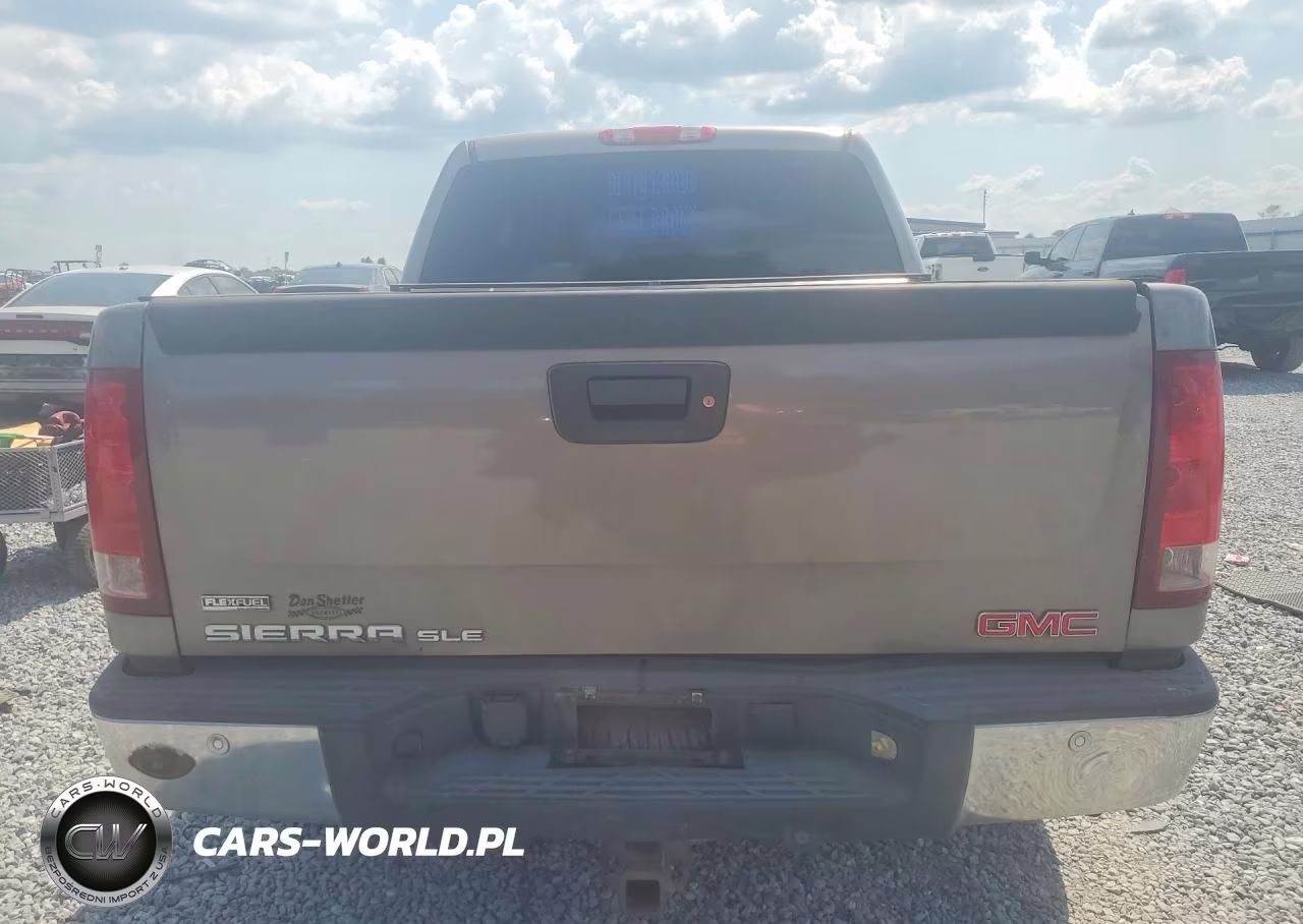 2009 GMC Sierra C1500 Sle VIN:3GTEC23069G167184 - 6