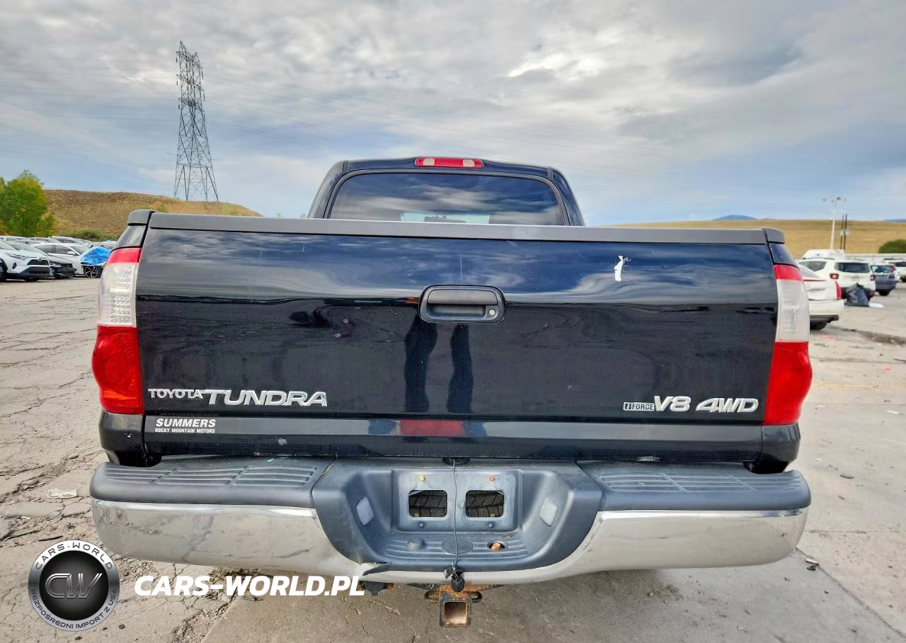 2006 Toyota Tundra Double Cab Sr5 VIN:5TBDT44136S520498 - 6