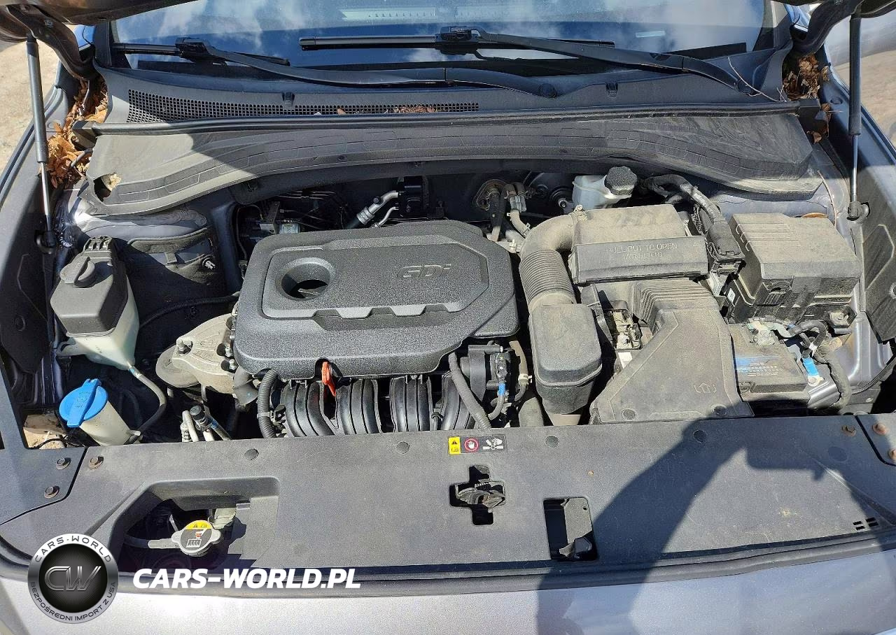 2019 Hyundai Santa Fe Se VIN:5NMS2CAD4KH031101 - 12