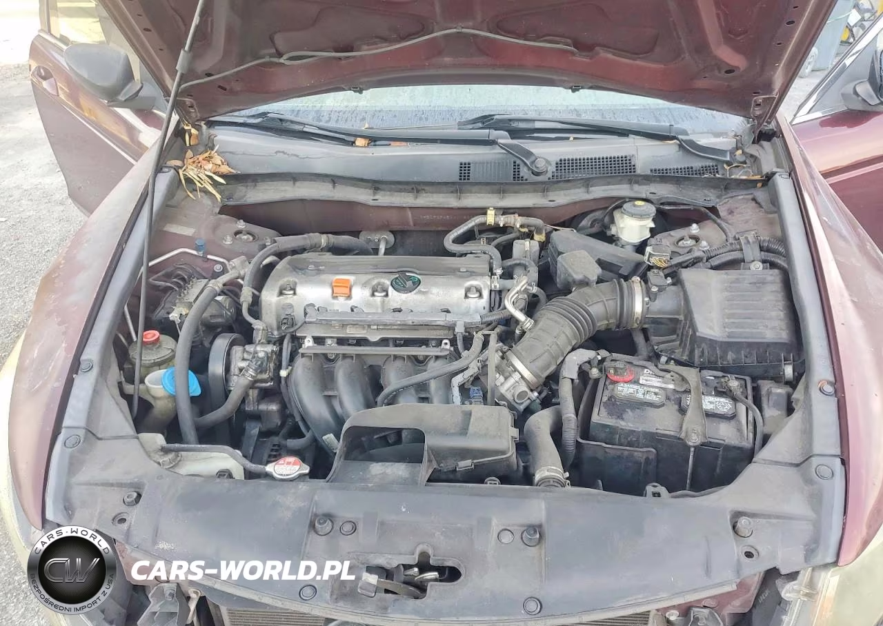 2010 Honda Accord Lxp VIN:1HGCP2F45AA018229 - 11