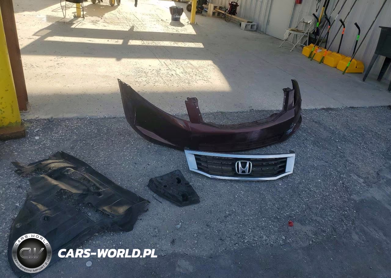 2010 Honda Accord Lxp VIN:1HGCP2F45AA018229 - 12