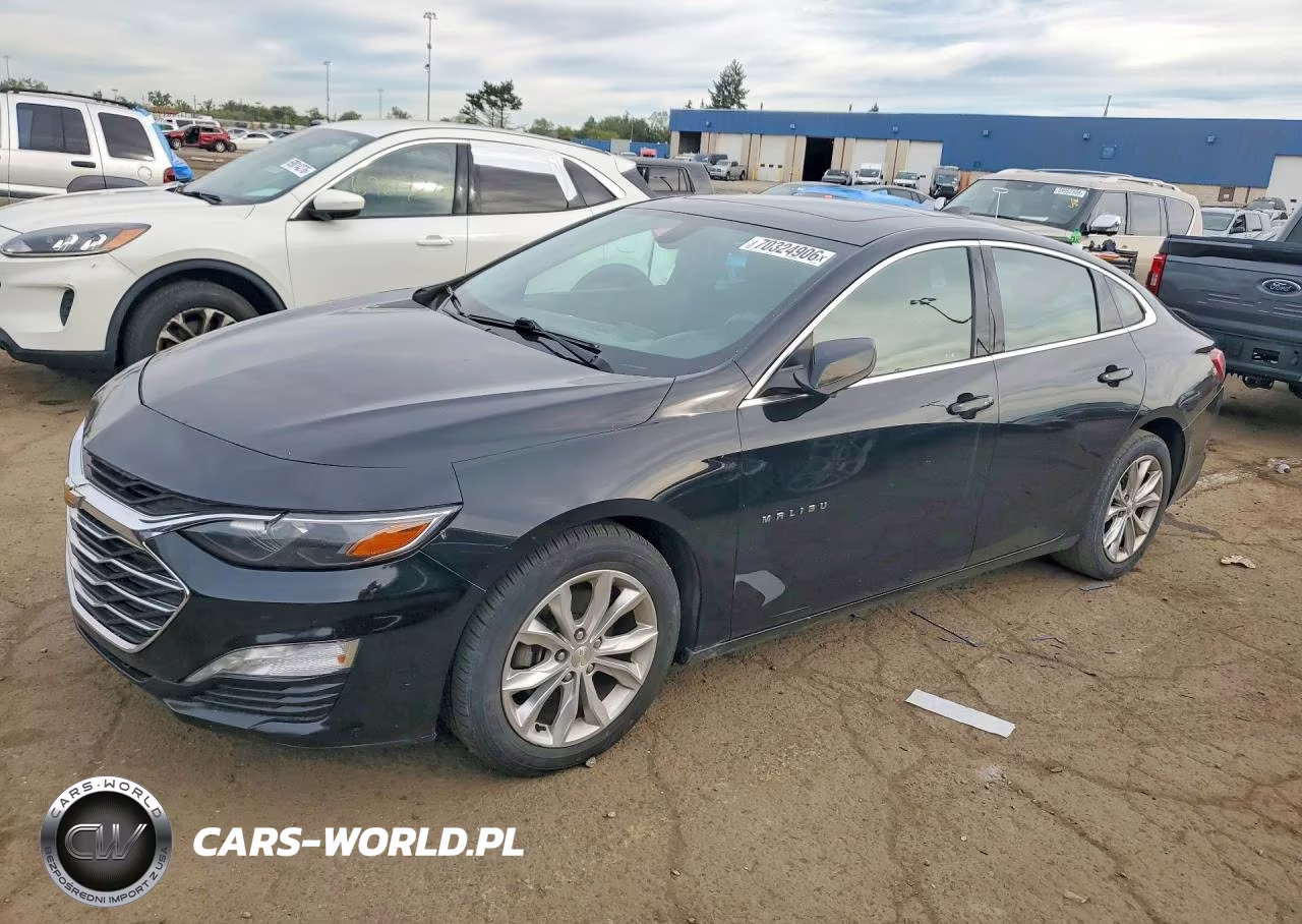 2019 Chevrolet Malibu Lt VIN:1G1ZD5STXKF221842 - 1