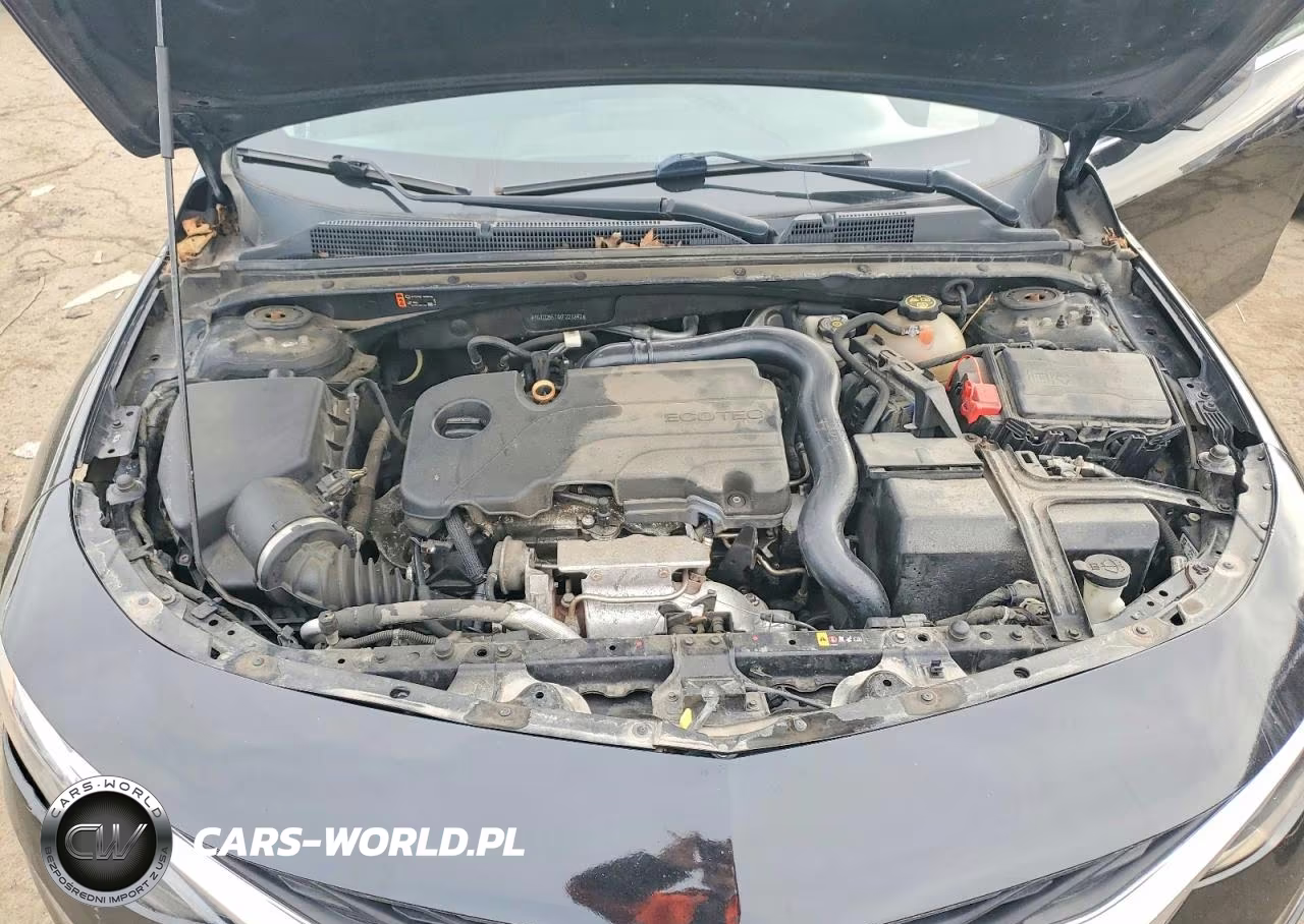 2019 Chevrolet Malibu Lt VIN:1G1ZD5STXKF221842 - 11