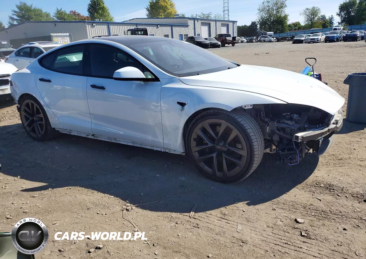 2021 Tesla Model S VIN:5YJSA1E55MF435460 - 4