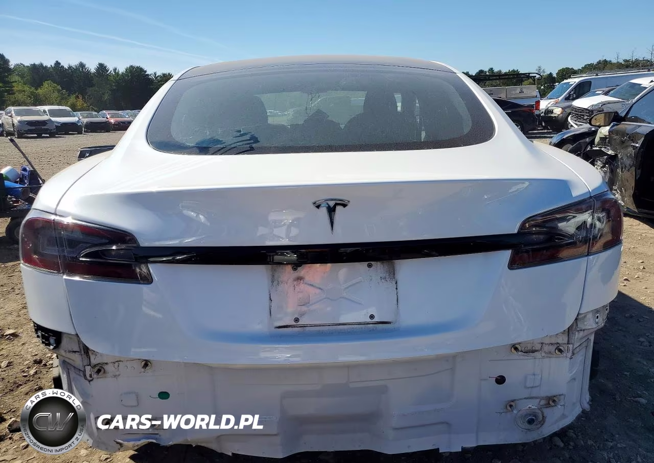 2021 Tesla Model S VIN:5YJSA1E55MF435460 - 6