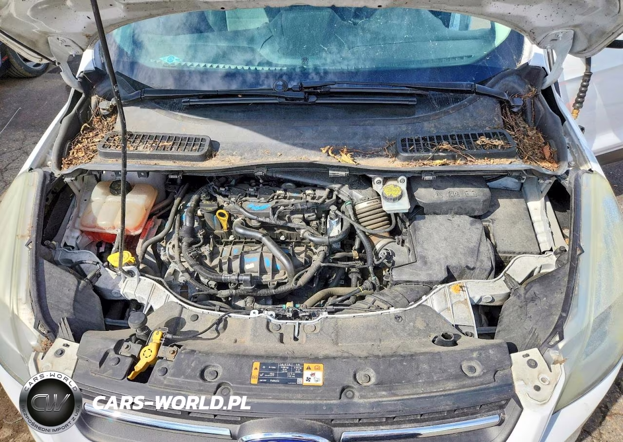 2016 Ford Escape Se VIN:1FMCU9GX6GUC17060 - 12