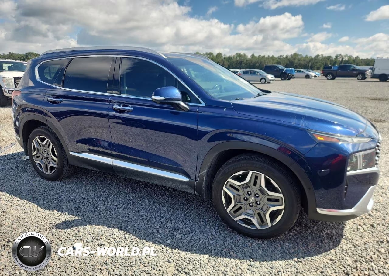 2021 Hyundai Santa Fe Limited VIN:5NMS44AL3MH362956 - 4