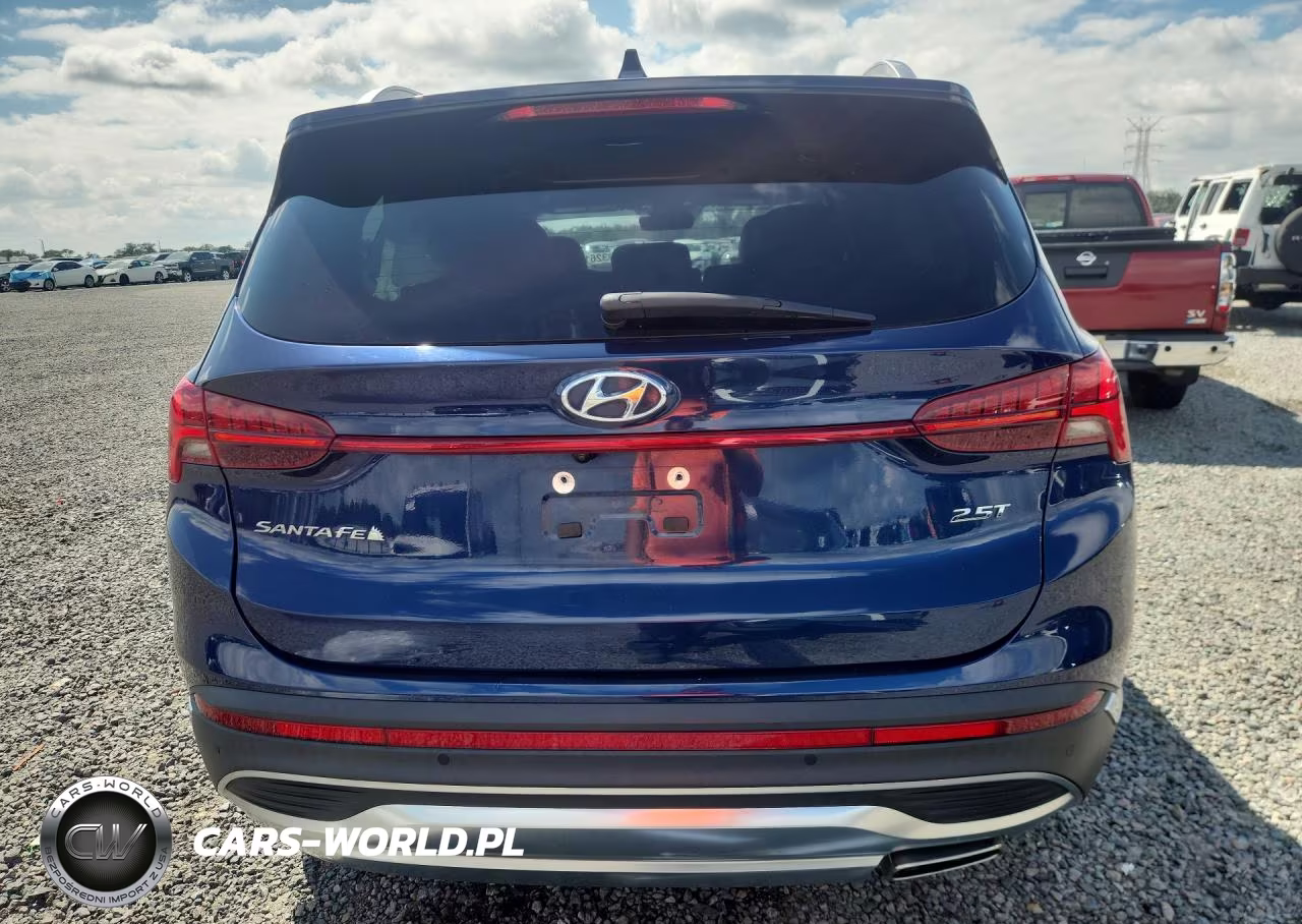 2021 Hyundai Santa Fe Limited VIN:5NMS44AL3MH362956 - 6