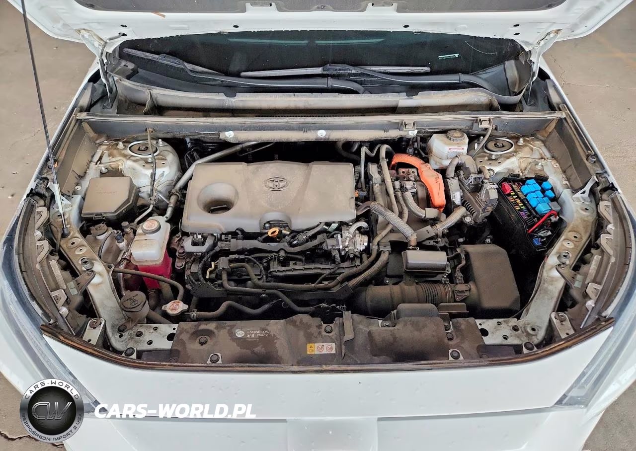 2024 Toyota Rav4 Hybrid Xle VIN:4T3RWRFV5RU122004 - 11