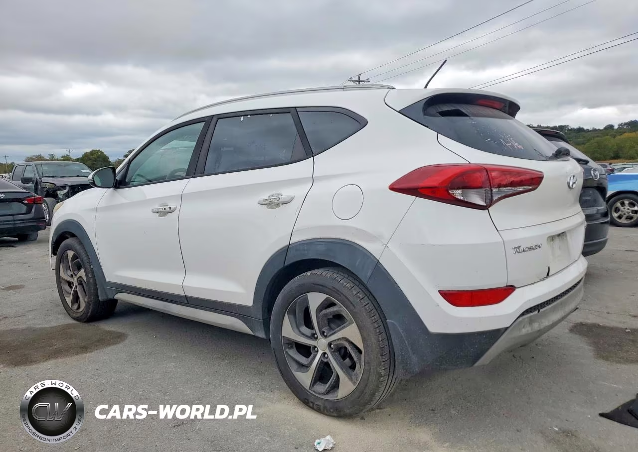 2017 Hyundai Tucson Sport VIN:KM8J33A21HU436689 - 2