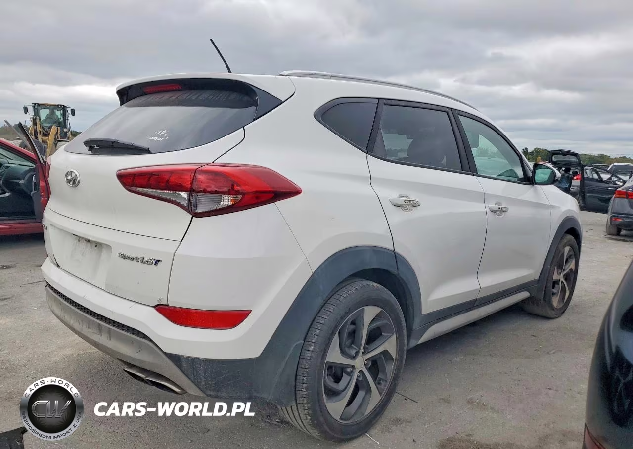 2017 Hyundai Tucson Sport VIN:KM8J33A21HU436689 - 3