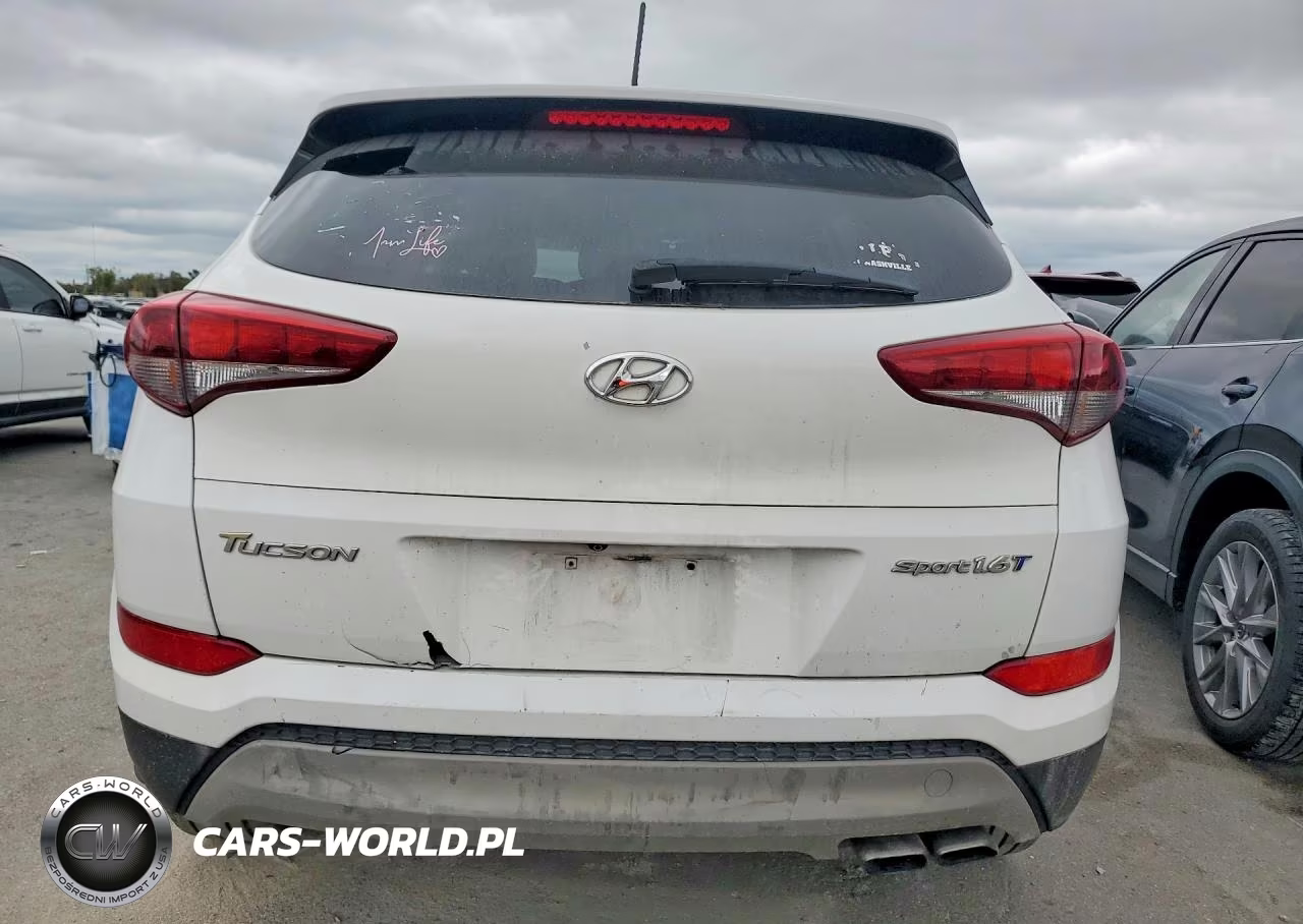 2017 Hyundai Tucson Sport VIN:KM8J33A21HU436689 - 6
