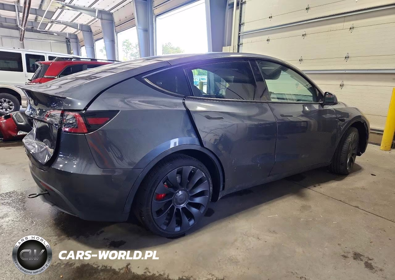 2022 Tesla Model Y VIN:7SAYGDEF4NF462981 - 3