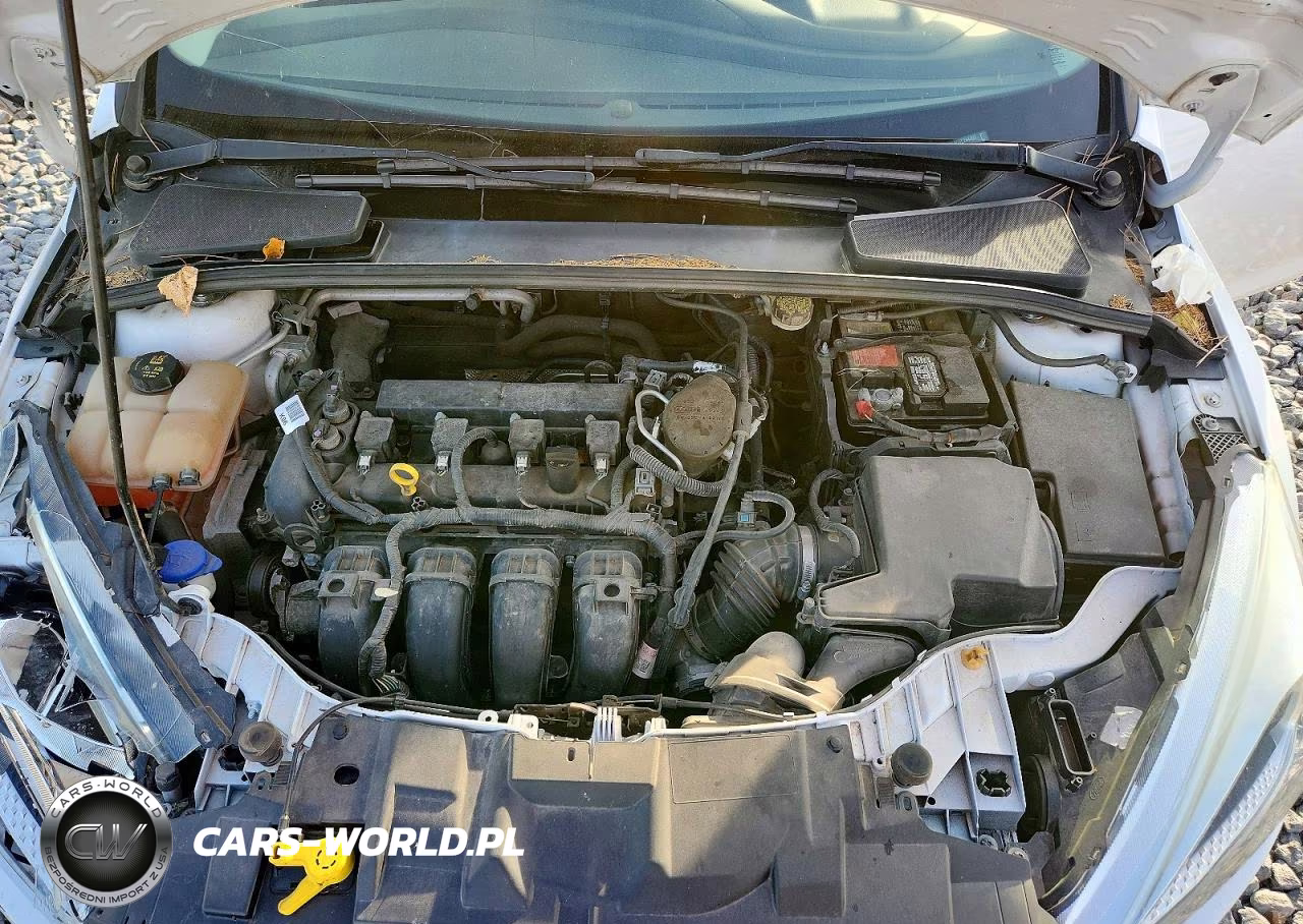 2016 Ford Focus Se VIN:1FADP3F25GL244457 - 11
