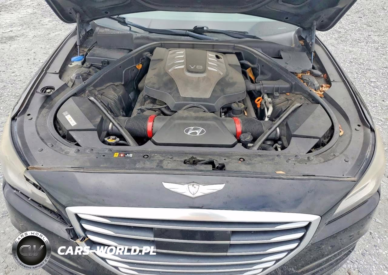 2015 Hyundai Genesis 5.0L VIN:KMHGN4JF9FU062505 - 11