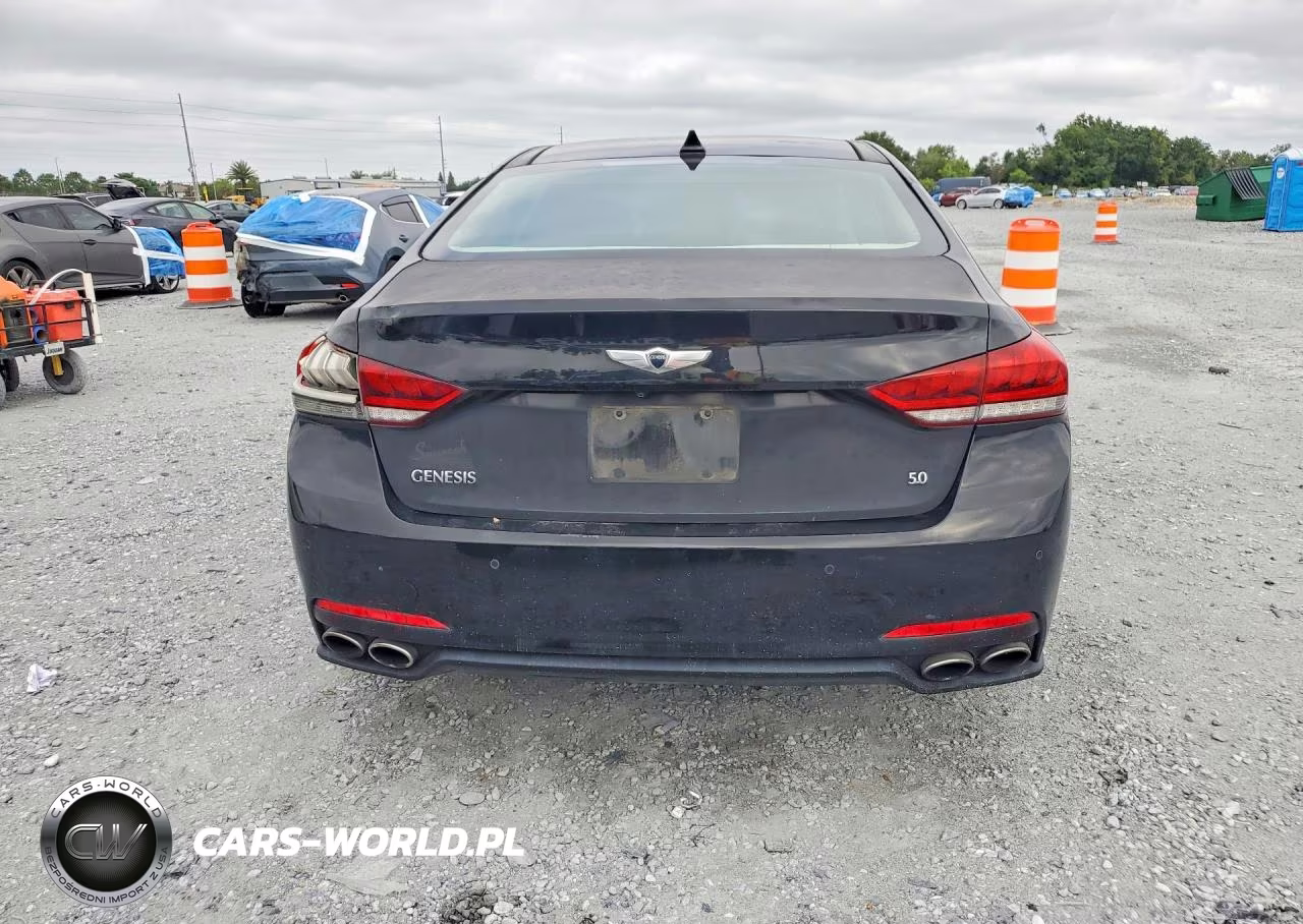 2015 Hyundai Genesis 5.0L VIN:KMHGN4JF9FU062505 - 6