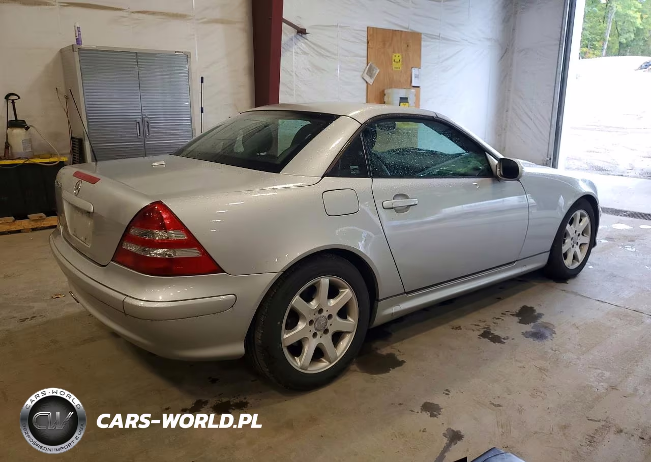 2003 Mercedes-Benz Slk 230 Kompressor VIN:WDBKK49F73F284406 - 3