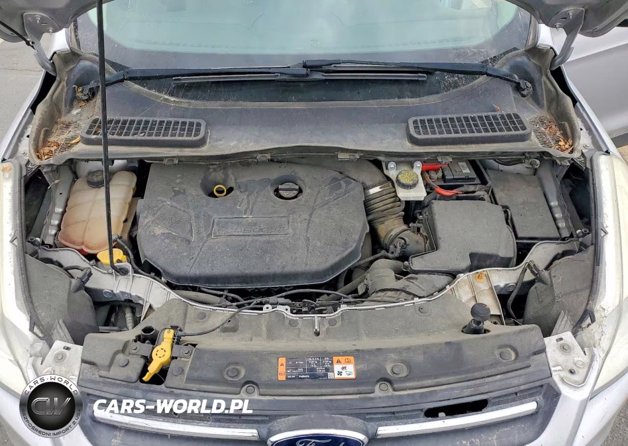 2015 Ford Escape Se VIN:1FMCU9G9XFUC29082 - 12