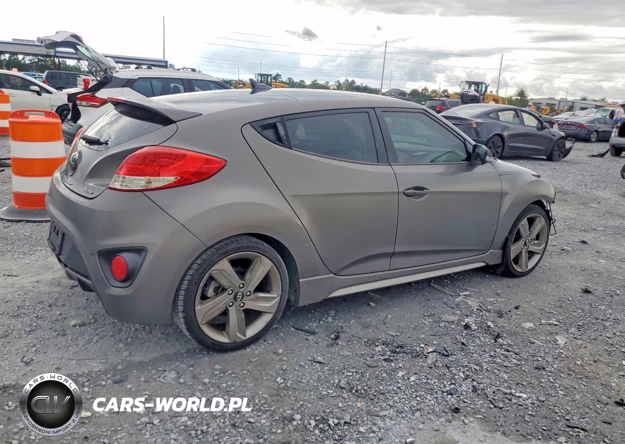 2013 Hyundai Veloster Turbo VIN:KMHTC6AE4DU099823 - 3