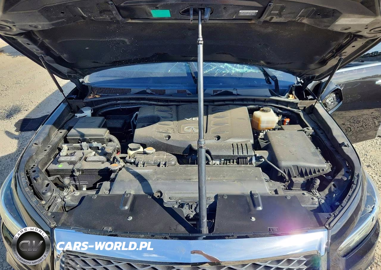2019 Infiniti Qx80 Luxe VIN:JN8AZ2NE8K9229846 - 12
