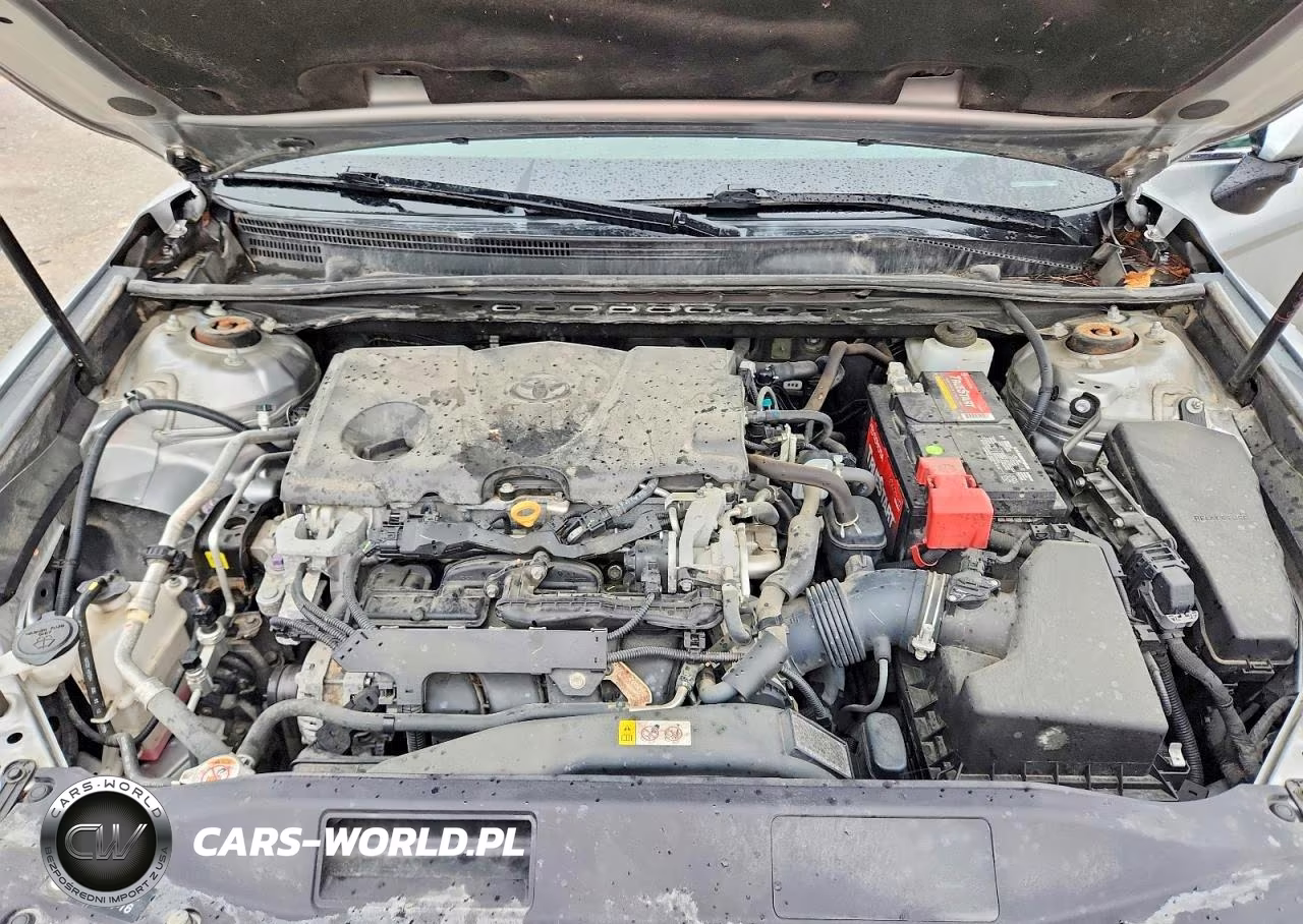2019 Toyota Camry Xse VIN:4T1B61HK1KU799894 - 11