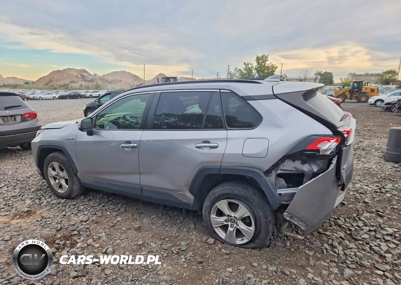 2021 Toyota Rav4 Le VIN:JTMM6RFV8MD016744 - 2