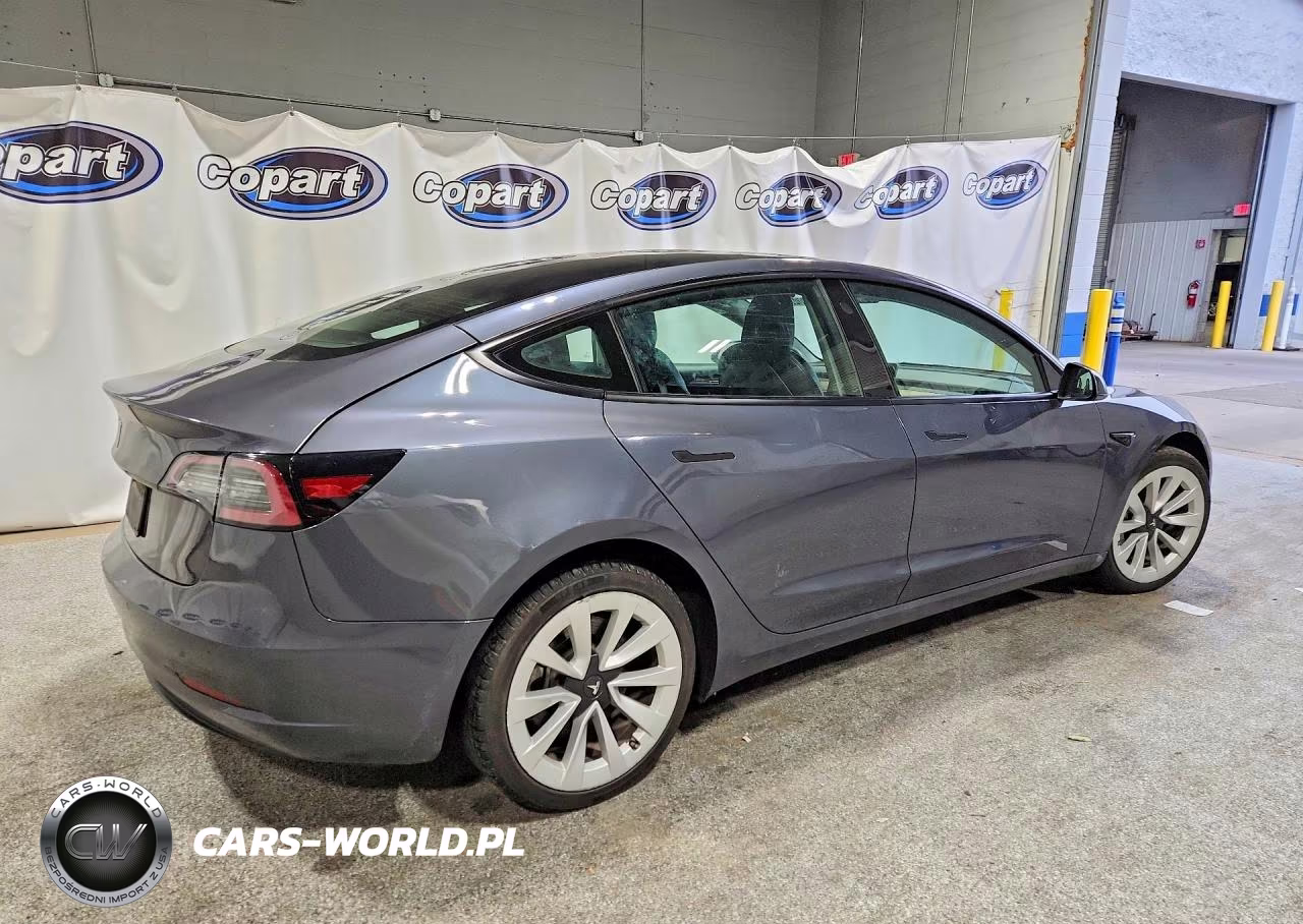 2022 Tesla Model 3 VIN:5YJ3E1EAXNF185690 - 3